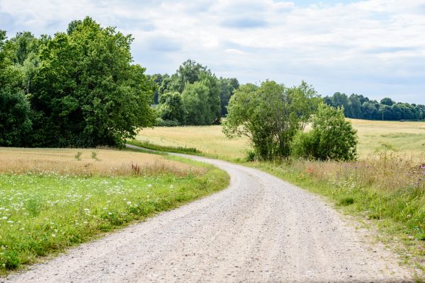 Stone Driveway Repair in Shawnee