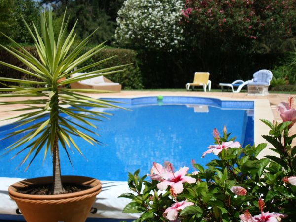 Pool Terrace Renovation in Shawnee