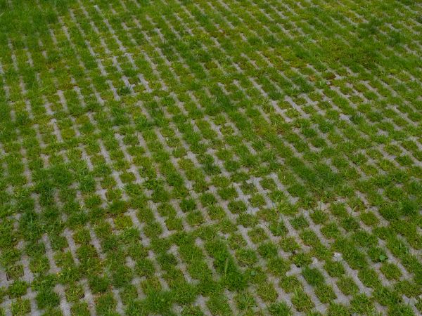 Permeable Pavement Service in Shawnee